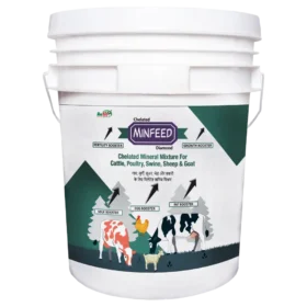Minfeed 20 Kg