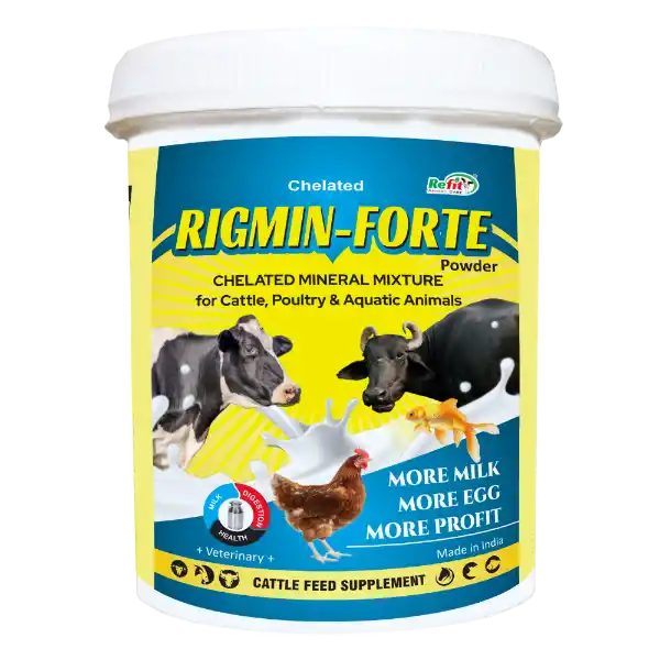 Rigmin Forte Chelated Mineral Mixture 1 kg