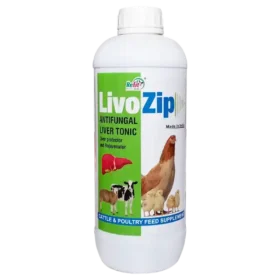 antifungal liver tonic for poultry 1536x1536 1