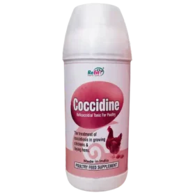 best medicine for coccidiosis 1536x1536 1