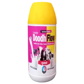 calcium supplement for cattle 1536x1536 1