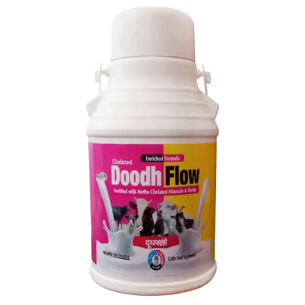 calcium supplement for cows