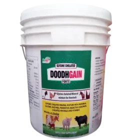 chelated mineral mixture for cattle 1536x1536 1