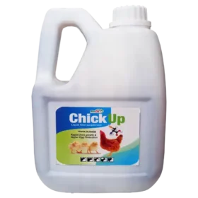 chicks growth medicine 1536x1536 1