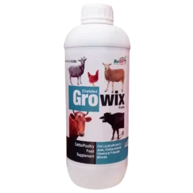 growth booster liquid for cattle 1536x1536 1