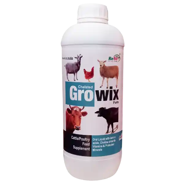 growth booster liquid for cattle 1536x1536 1