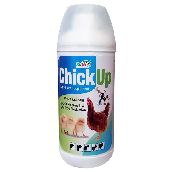 growth promoter for chicks 1536x1536 1