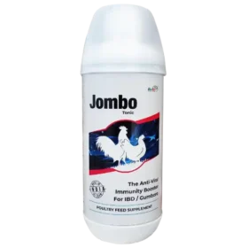 immunity booster for poultry 1536x1536 1