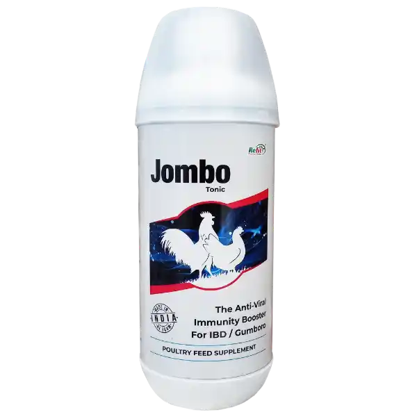 immunity booster for poultry 1536x1536 1