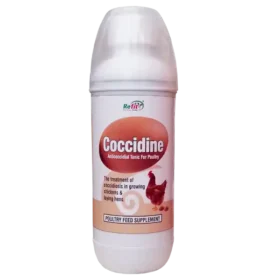 medicine for coccidiosis in poultry 1536x1536 1