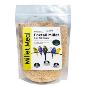Foxtail Millet Bird Food