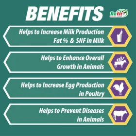 minfeed benefits
