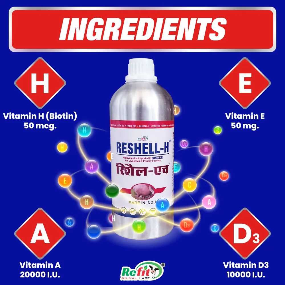 reshell h ingredients