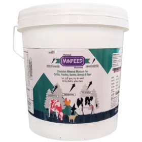 Minfeed Diamond Mineral Mixture.webp