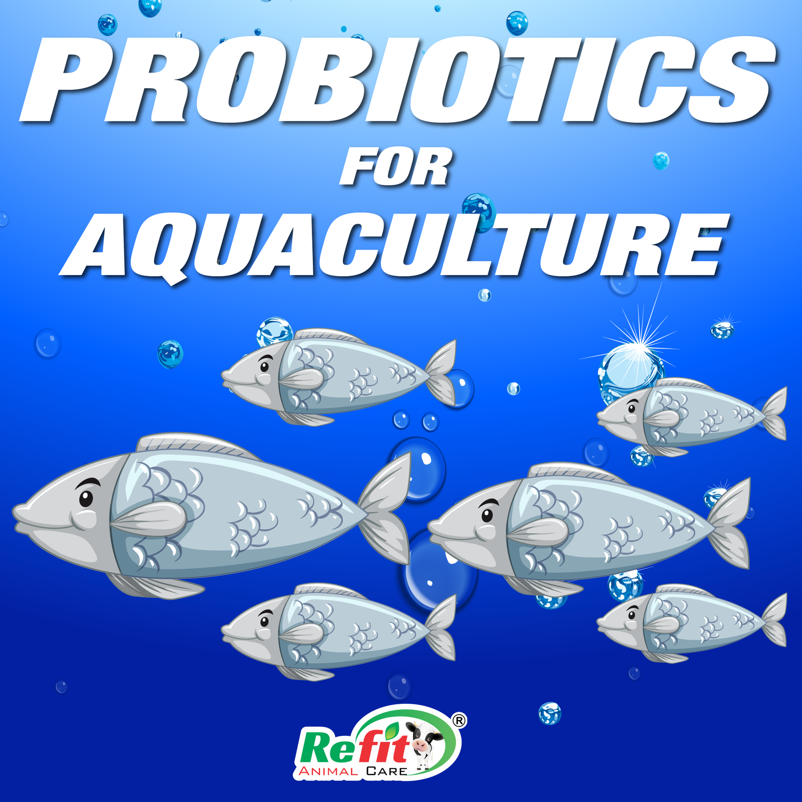 aqua prob why choose 1.png