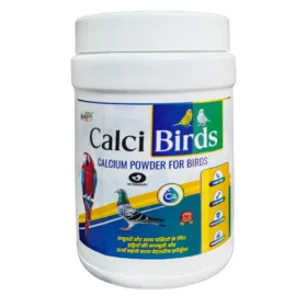 calcibirds.webp